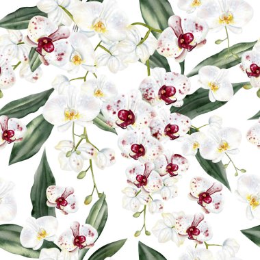 Beyaz kırmızı orkideli, kusursuz bir desen. Görüntü.