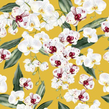 Beyaz kırmızı orkideli, kusursuz bir desen. Görüntü.