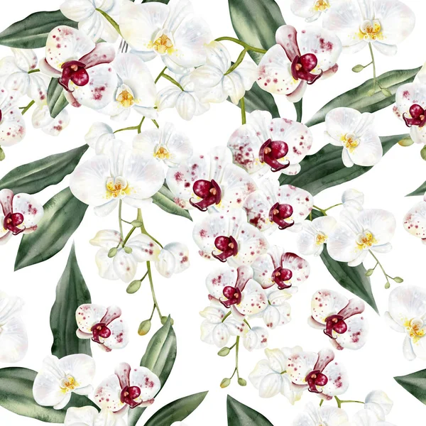 Beyaz kırmızı orkideli, kusursuz bir desen. Görüntü.