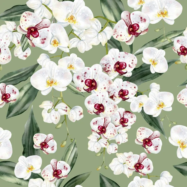 Beyaz kırmızı orkideli, kusursuz bir desen. Görüntü.
