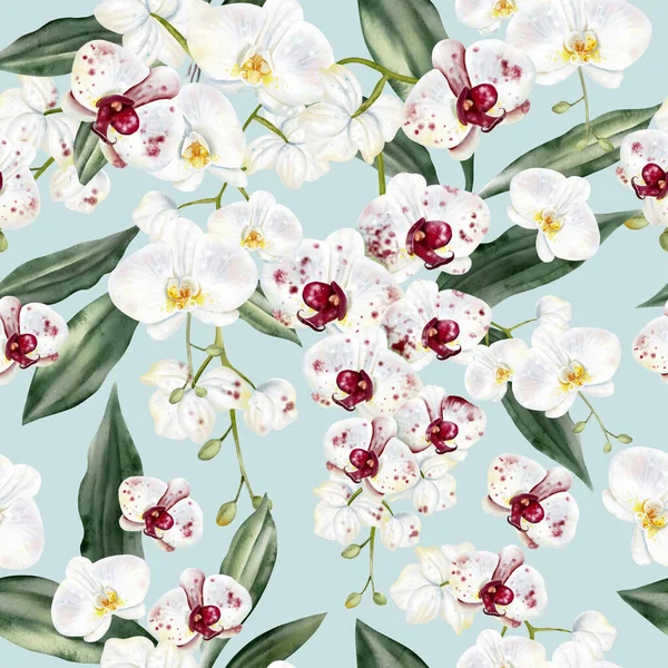Beyaz kırmızı orkideli, kusursuz bir desen. Görüntü.