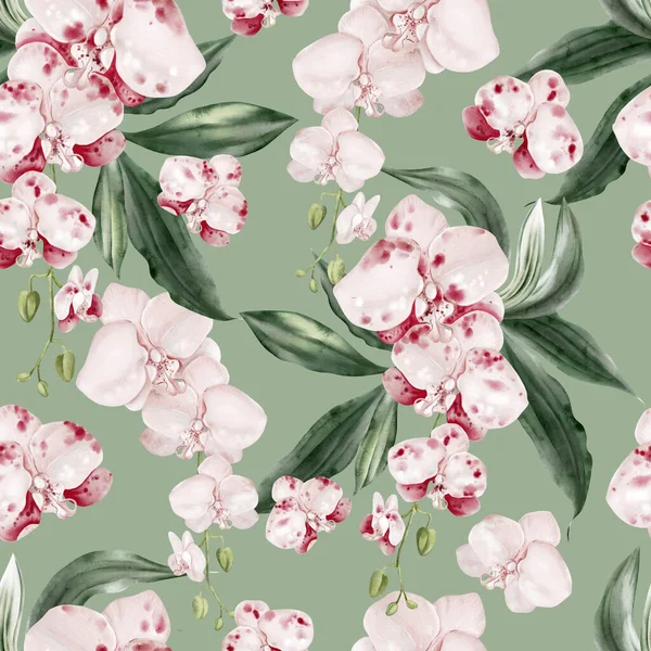 Pembe çiçekli ve yeşil orkide yapraklı güzel, pürüzsüz bir desen. Görüntü