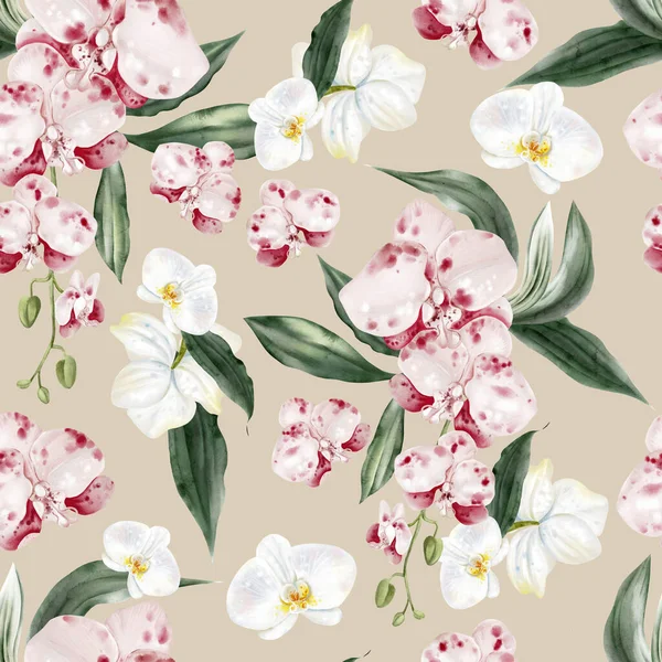 Pembe çiçekli ve yeşil orkide yapraklı güzel, pürüzsüz bir desen. Görüntü