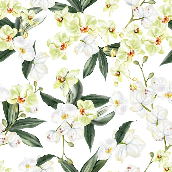 Güzel, pürüzsüz desenli, sarı ve beyaz çiçekli ve dev