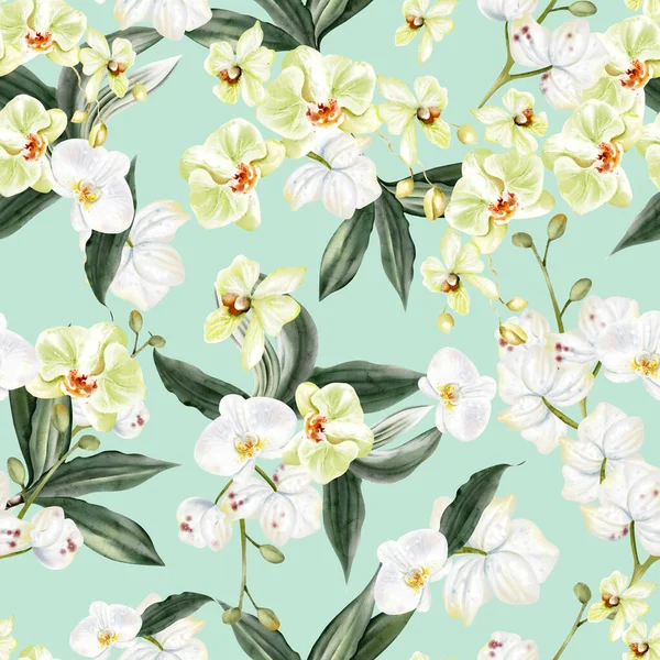 Güzel, pürüzsüz desenli, sarı ve beyaz çiçekli ve dev