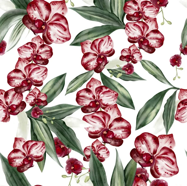 Kırmızı çiçekleri ve yeşil orkide yaprakları olan güzel, pürüzsüz bir desen. Görüntü