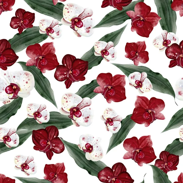 Kırmızı ve beyaz çiçekli ve yeşil orkide yapraklı güzel, pürüzsüz bir desen. Görüntü
