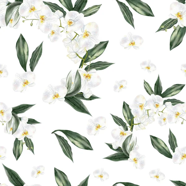 Beyaz çiçekli ve yeşil orkide yapraklı güzel, pürüzsüz bir desen. Görüntü