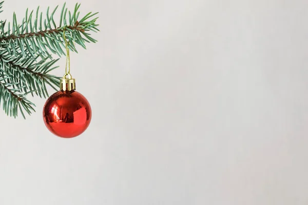 Noel kırmızı topu köknar brunch 'ında, Noel' de ve yeni yıl tatilinde. Kopyalama alanı