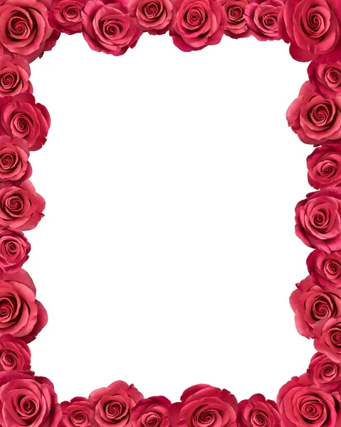 Rahmen Aus Rosa Rosen Isoliert Auf Weiß — Stockfoto