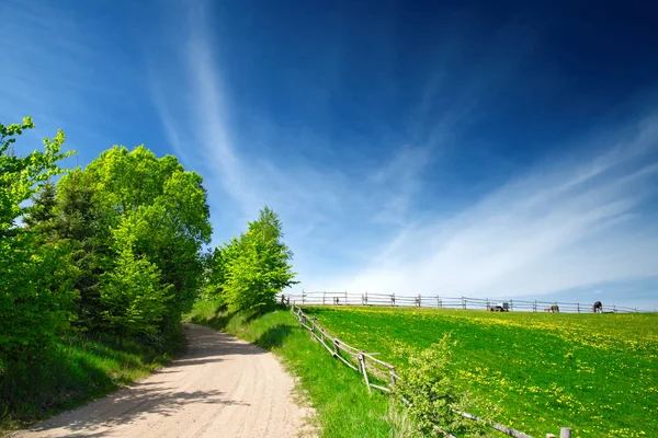 Country road beetwen woods and pasture. Spring landscape. Masuria, Poland.