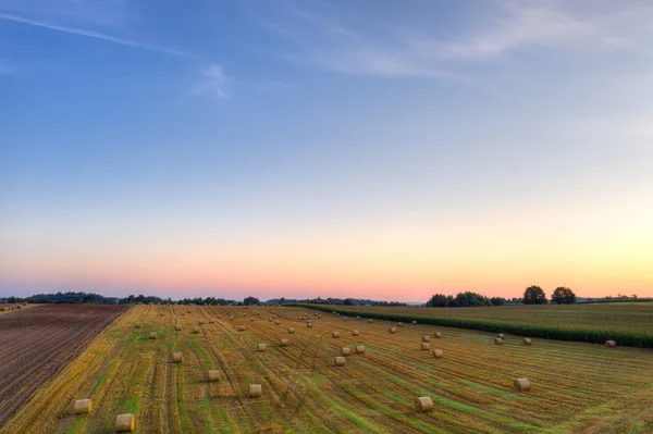 早朝の干し草の山で頑固なフィールド 8月の田舎の風景 マスリア ポーランド — ストック写真