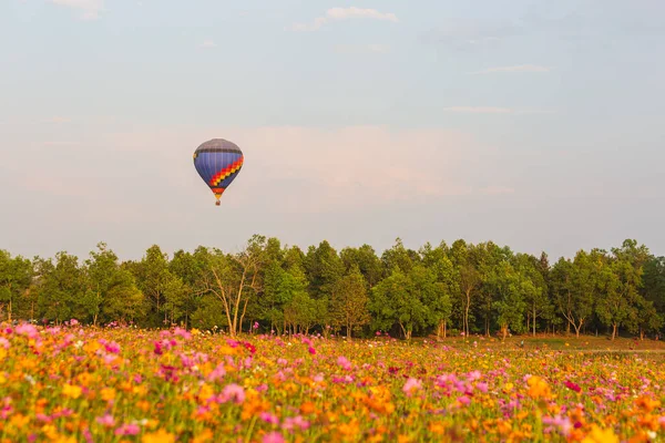 Montgolfière Colorée Volant Dessus Champ Belles Fleurs Avec Une Forêt — Photo