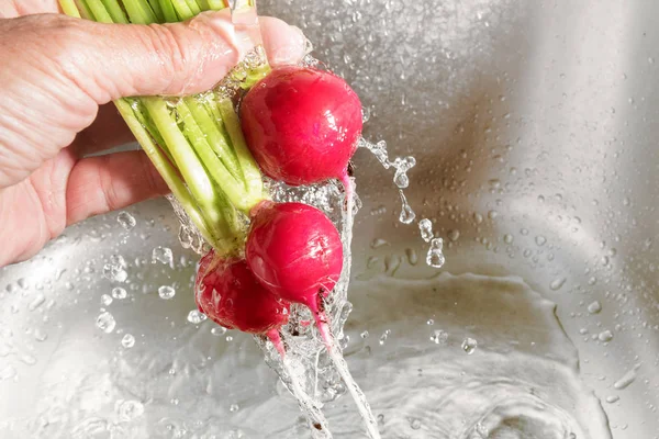 Lavar Las Verduras Mano Humana Sosteniendo Montón Rábanos Bajo Agua —  Fotos de Stock