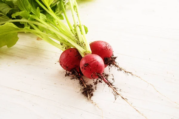 Fresh Organic Radishes Soil Roots Leaves White Wooden Table Copy — Stock Photo, Image