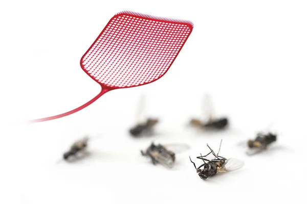 Flyswatter Vermelho Moscas Mortas Isoladas Fundo Branco Espaço Cópia Tiro — Fotografia de Stock