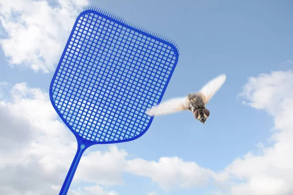 Flyswatter Bleu Chassant Une Mouche Volante Contre Ciel Bleu Avec — Photo