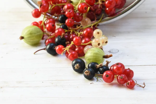 Summer Berries Gooseberries Currants Red White Black White Painted Wood — Stock Photo, Image
