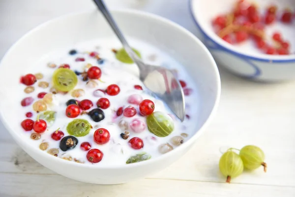 Yoghurt Kvarkkrem Med Ferske Rips Stikkelsbær Sunn Sommerfrokost Eller Dessert – stockfoto
