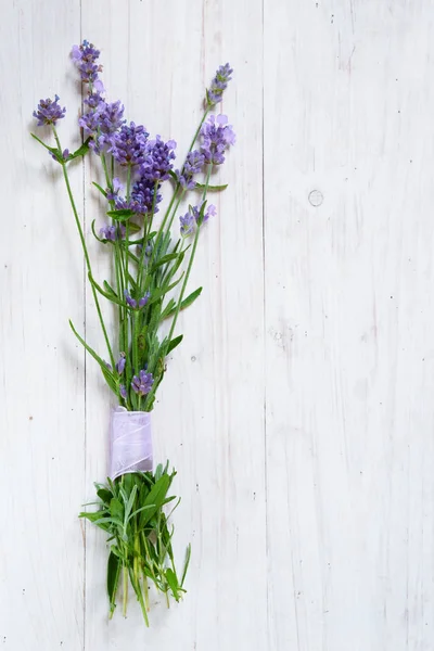 Bos Van Bloeiende Lavendel Takken Een Wit Geverfde Houten Achtergrond — Stockfoto