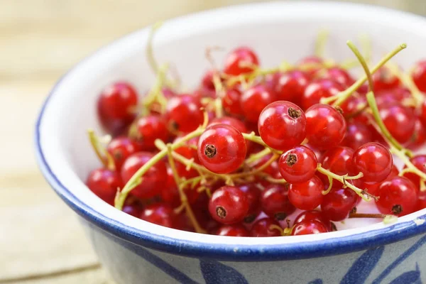 Fresh Harvested Red Currant Berries Bowl Close Shot Selected Focus — Stock Photo, Image