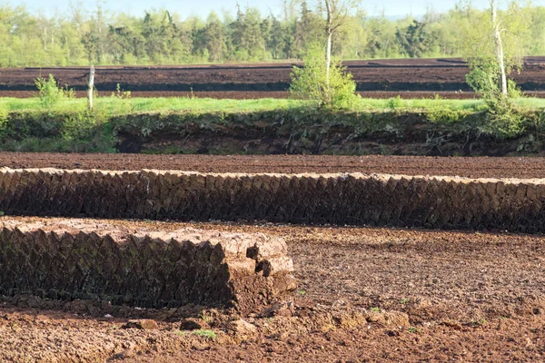 Çim Blok Yığınları Endüstriyel Turba Çıkarımı Yükseltilmiş Bataklık Manzara Doğa — Stok fotoğraf