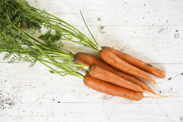 Bio Wortelen Geoogst Uit Moestuin Wit Geschilderd Hout Met Kopie — Stockfoto