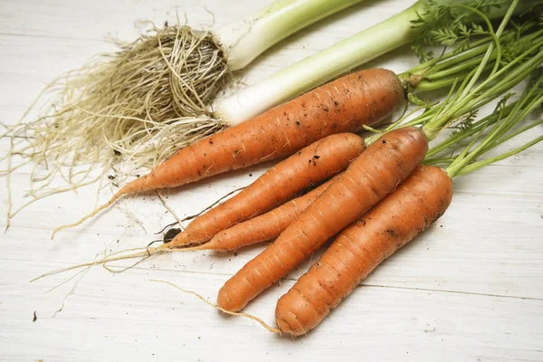 Carrots Leek Freshly Harvested Vegetable Garden White Painted Wooden Table — Stock Photo, Image