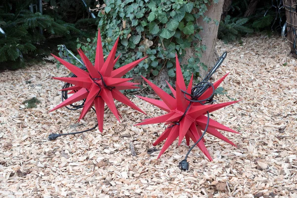 Deux Étoiles Moraves Rouges Couchées Sous Arbre Prêt Raccrocher Pour — Photo