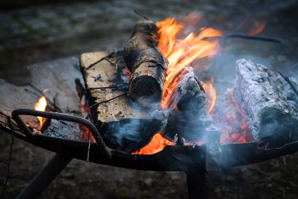 Cuenco Fuego Hierro Con Troncos Madera Ardiendo Calienta Eventos Aire — Foto de Stock