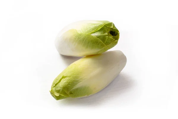 Endive Proaspete Sau Cicoare Cichorium Endivia Izolate Umbre Fundal Alb — Fotografie, imagine de stoc