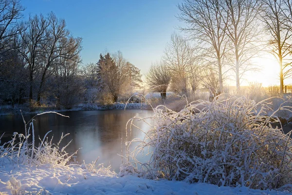 Bevroren Meer Besneeuwde Struiken Zonsopgang Liggend Een Koude Winterdag Kopie — Stockfoto