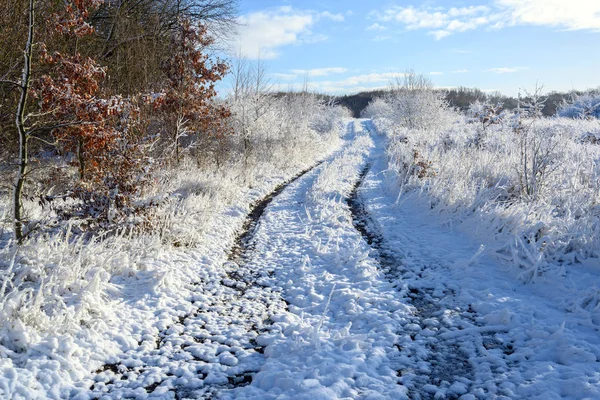 Snow Covered Country Lane Meadow Winter Seasonal Landscape Blue Sky — Stock Photo, Image