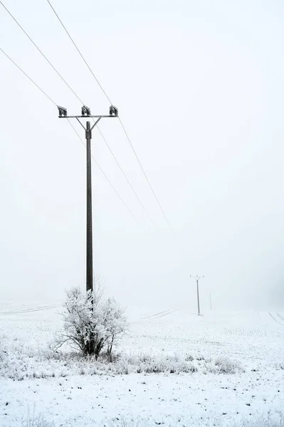 Mast Fra Kraftledning Land Grå Tåkete Vinterdag Med Frost Snø – stockfoto