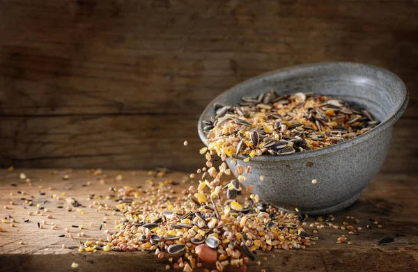 Comida Pássaro Para Alimentação Inverno Sementes Mistas Como Girassol Milho — Fotografia de Stock