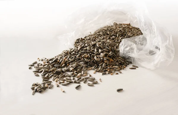bird food from sunflower seeds are falling out of a  transparent plastic bag, light gray background with copy space, selected focus, narrow depth of field