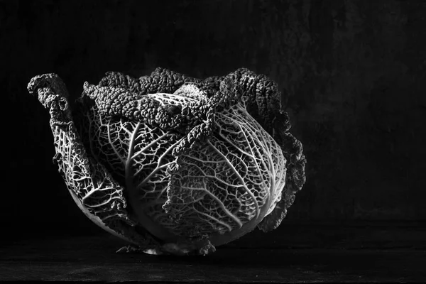 サボイ キャベツ コピー領域を暗く 不機嫌な背景に健康的な冬の野菜 黒と白 選択したフォーカス — ストック写真