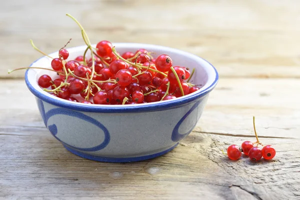 Baies de groseilles rouges biologiques dans un bol en céramique bleue sur une table en bois rustique — Photo