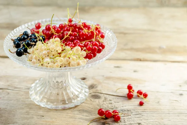 Органические ягоды смородины в красном, черно-белом цвете на стеклянной чаше на деревенском дереве, копировальное пространство — стоковое фото