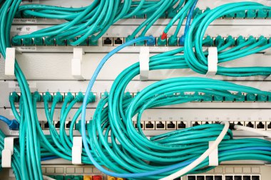 Turkuaz kabloları ve ethernet anahtarları bir ağ sunucusuna bağlı