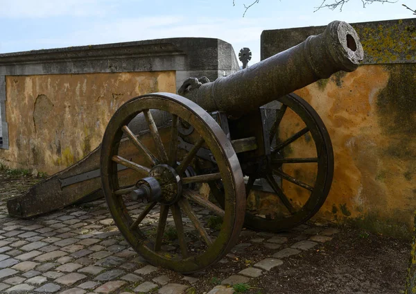 Историческая военная пушка у стены замка — стоковое фото
