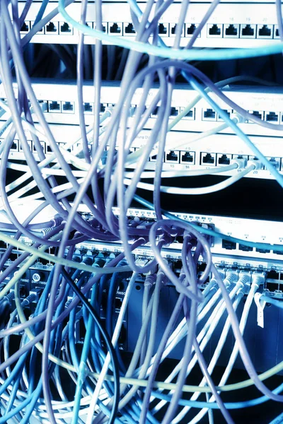 Síťový panel ze školního serveru s modrým kabelem pro síť Ethernet na přepínačích, barevná vývody — Stock fotografie