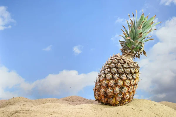 pineapple fruit on the beach sand against a blue sky with clouds, tropical summer vacation concept,  copy space