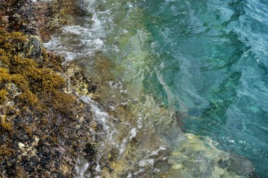 Kayalıklardan Akdeniz'e bakış, turkuaz su, kaya ve yosun ile soyut arka plan, kopya alanı