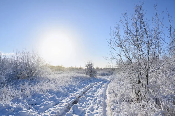Faixa de país através de um prado coberto de neve no inverno sob um céu azul com um sol pálido, paisagem sazonal com espaço de cópia — Fotografia de Stock