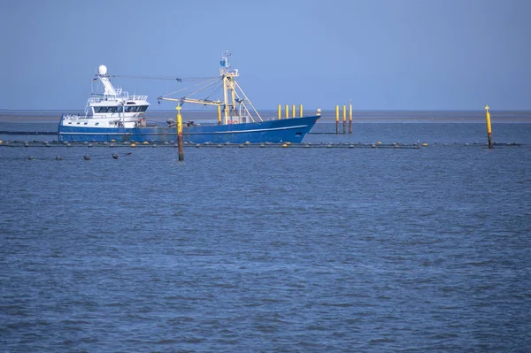 Bateau de pêche sur les bancs de moules artificielles dans la mer du Nord près de Frise, Allemagne, espace de copie dans l'eau bleue — Photo