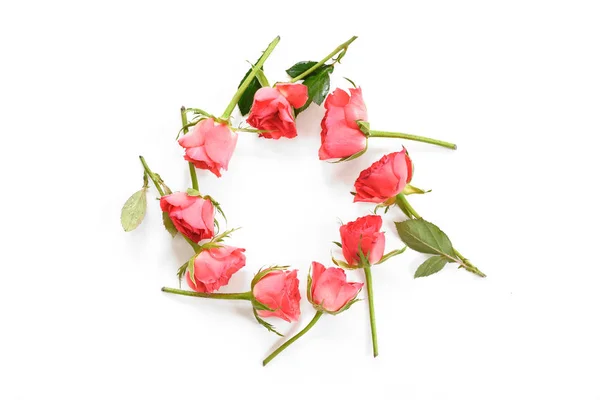 Rosas rosadas colocadas en un anillo aislado con sombras sobre un fondo blanco, concepto de amor con espacio de copia, vista de ángulo alto desde arriba —  Fotos de Stock