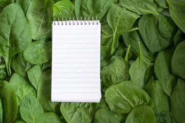 Taze organik ıspanak yapraklarının tam çerçeve arkaplanındaki tarif veya alışveriş listesi için yırtık not defteri, boşluğu kopyala