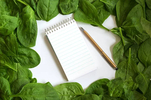 Fresh spinach leaf frame and writing pad for recipe or shopping list with copy space, background concept for cooking and kitchen themes, high angle top view from above — Stock Photo, Image