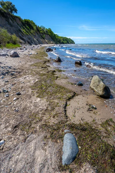 シュタインベックのバルト海の険しい海岸の前のビーチの石や藻類 メクレンブルク 泡冠と青い空の小さな波 選択された焦点 — ストック写真